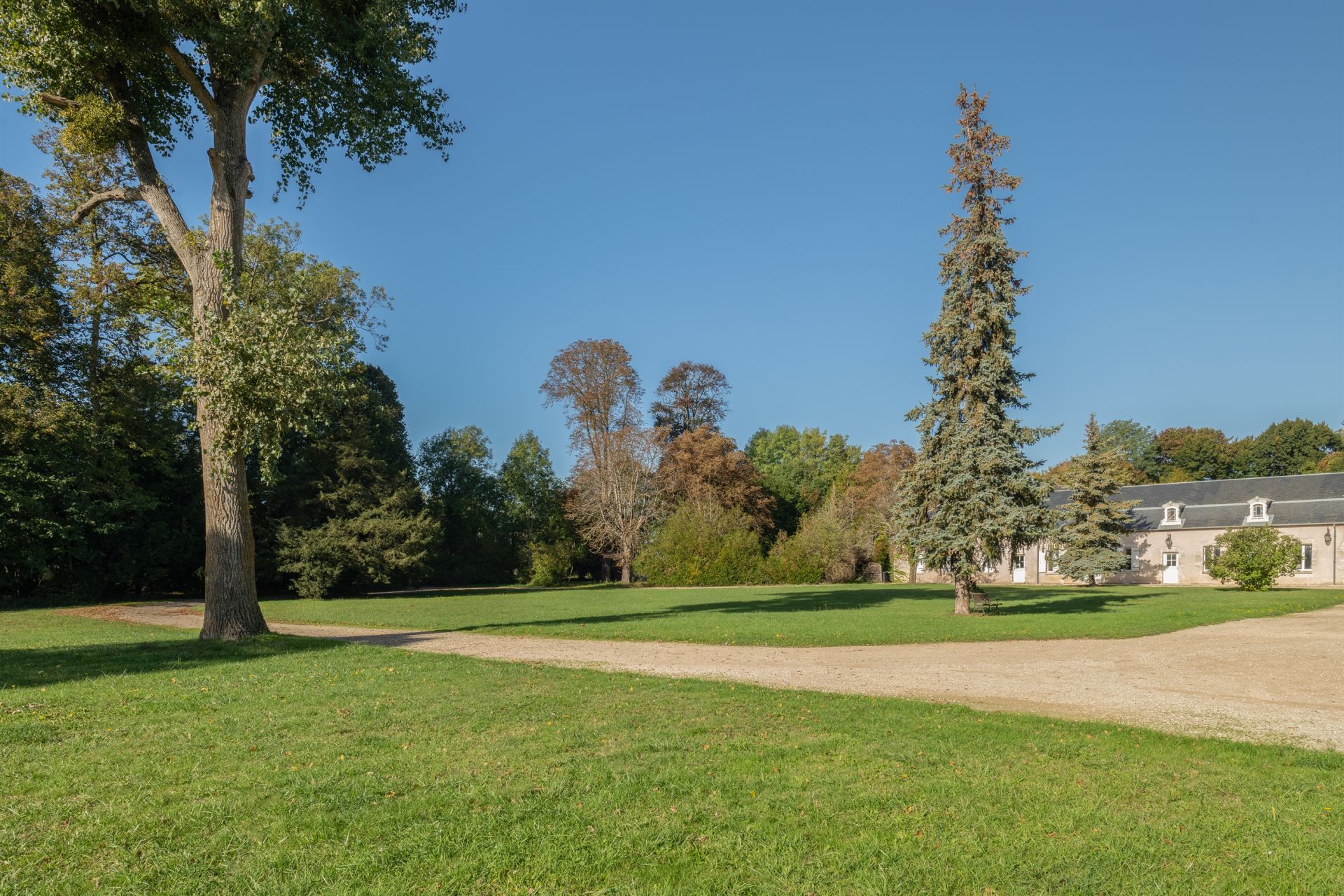 castle 22 rooms for sale on BACCON (45130)